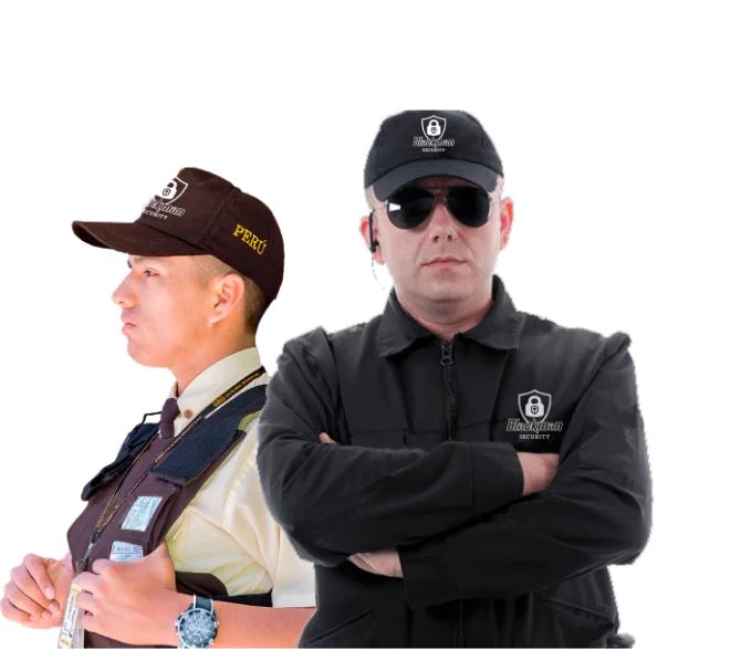 img-seguridad